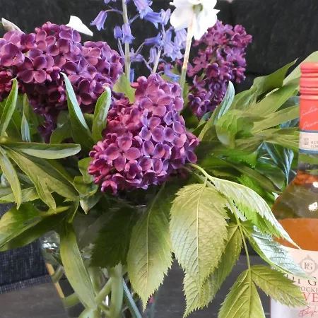 Sommerwind Apartament *